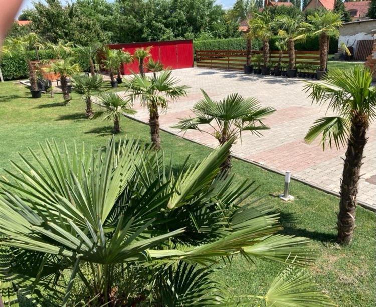 Roze Vendeghaz Hotel Villány Exterior foto